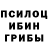 Галлюциногенные грибы мицелий Michele Morrison